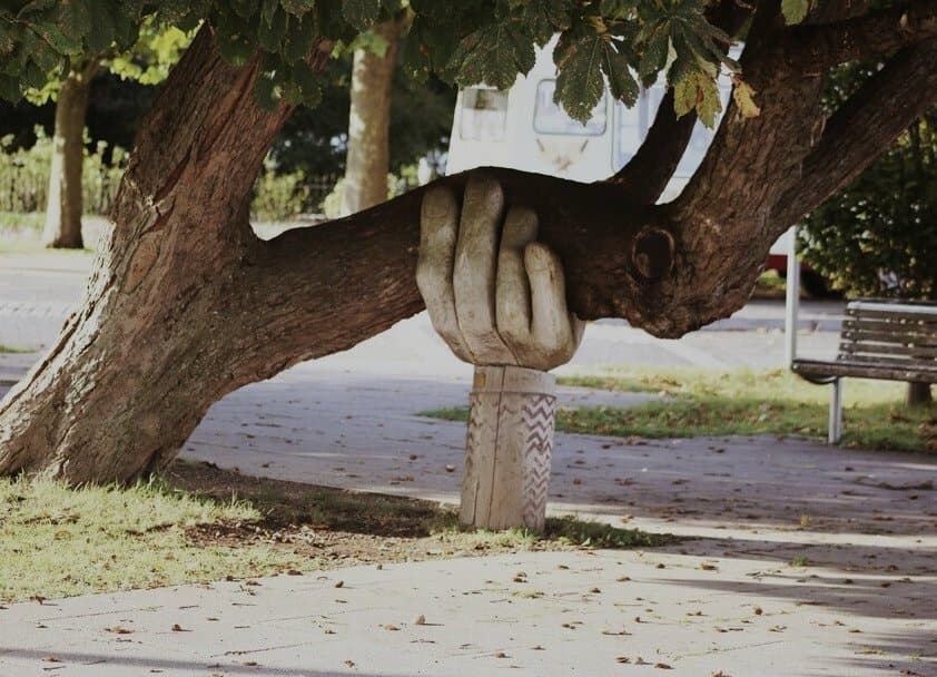 Emergency Relief Support Image